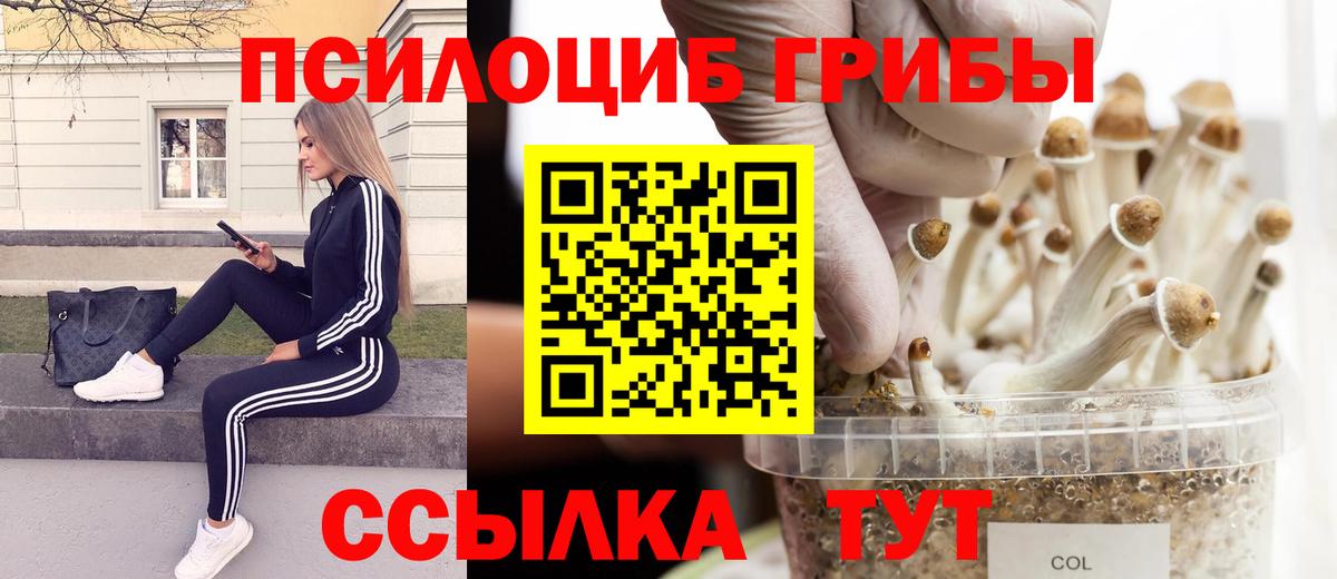 Псилоцибиновые грибы ЛСД  Галлюциногенные грибы Psilocybine cubensis  Вход с VPN  Изобильный 